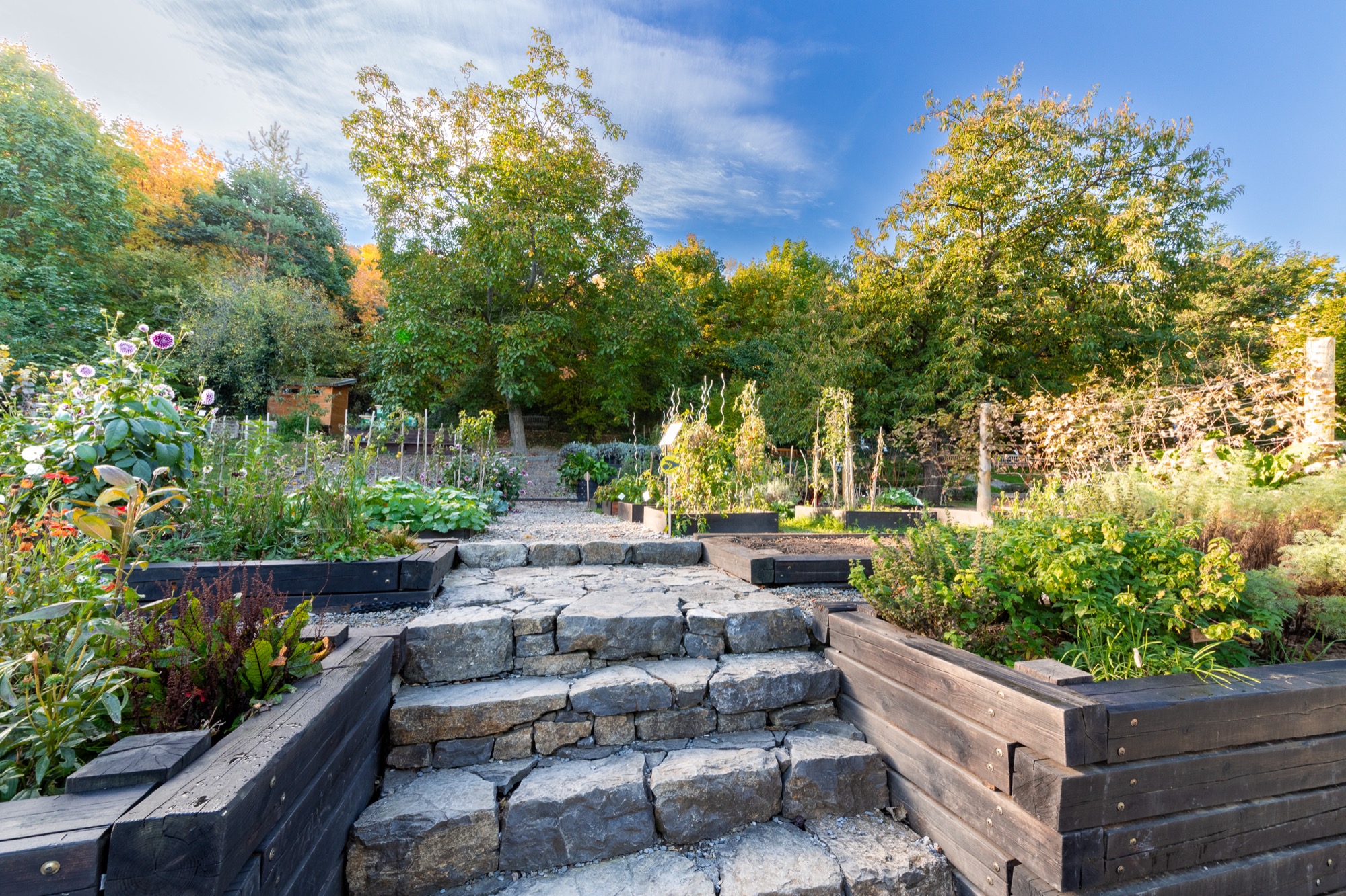 Realizace zahrady a výsadby