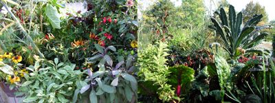 Balkon s rostlinami v nádobách