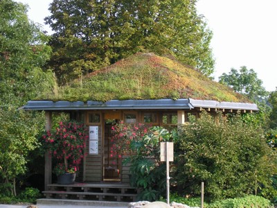 Střešní zahrada - ukázka