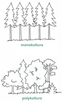 Polykultury v přírodě