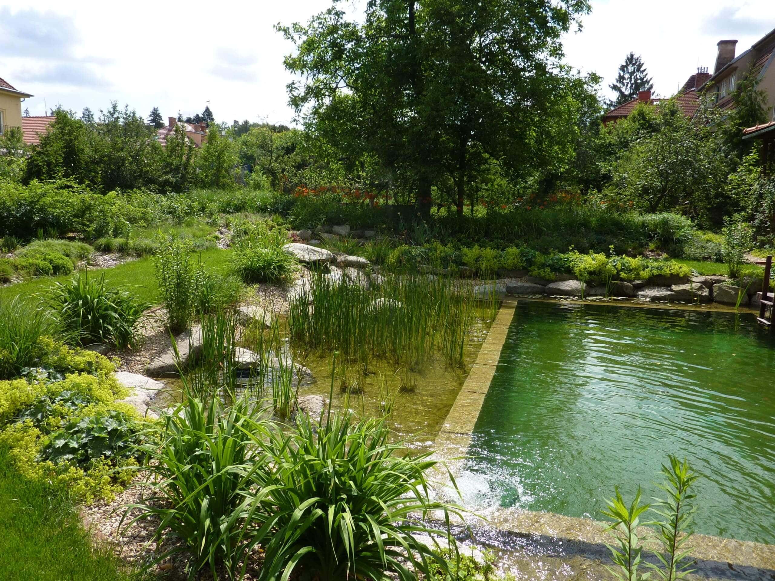 Koupací biotop - příroda