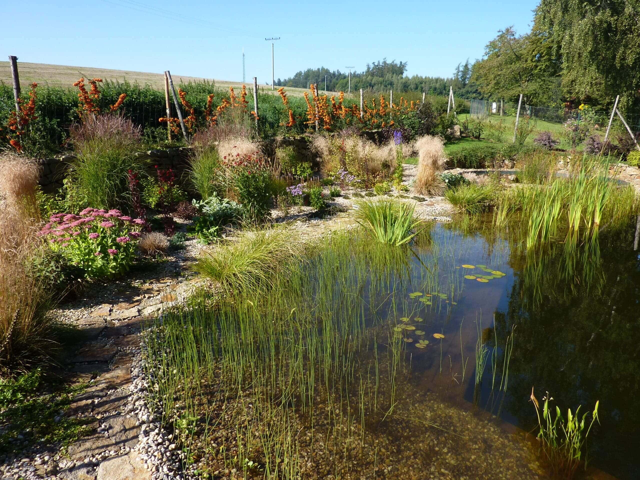 Dešťová voda - zachycení