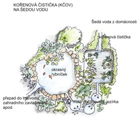 Kořenová čistička